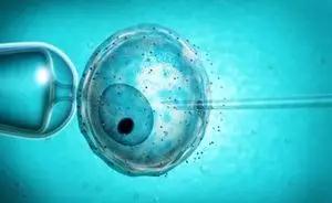 专家